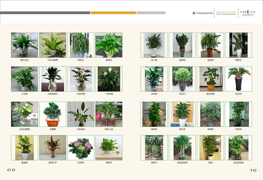 廣州花場苗木畫冊設(shè)計,花場苗木畫冊設(shè)計公司