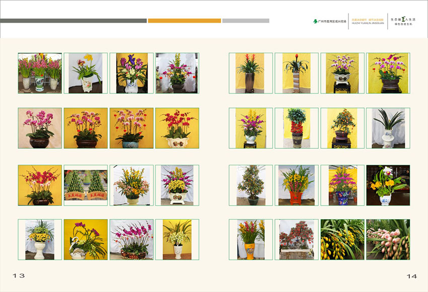廣州花場苗木畫冊設(shè)計,花場苗木畫冊設(shè)計公司