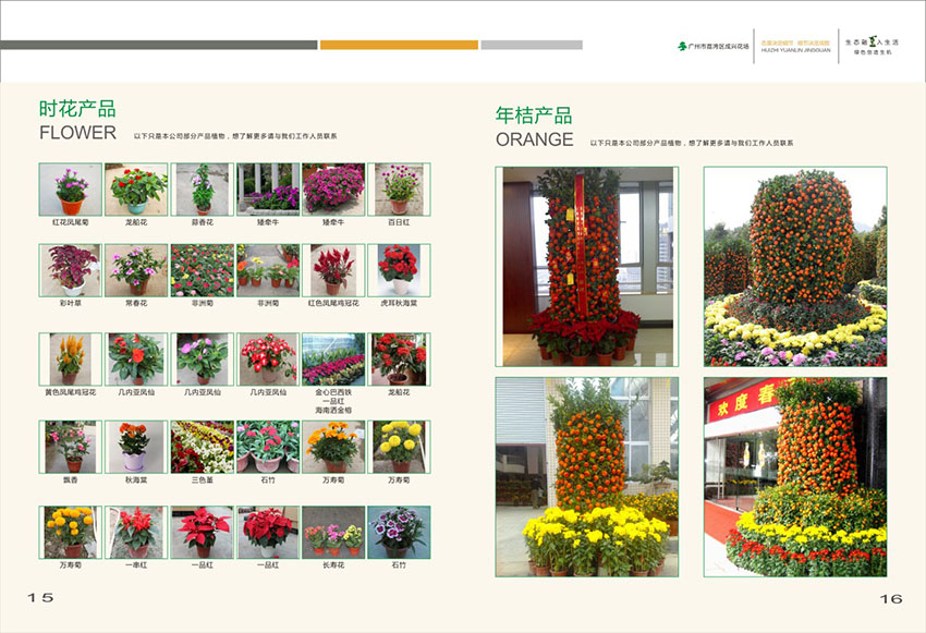 廣州花場苗木畫冊設(shè)計,花場苗木畫冊設(shè)計公司