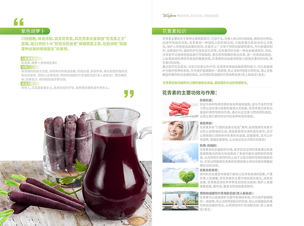 農(nóng)產(chǎn)品畫冊(cè)設(shè)計(jì),農(nóng)副產(chǎn)品畫冊(cè)設(shè)計(jì)公司