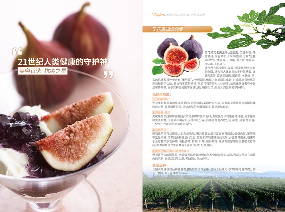 農(nóng)產(chǎn)品畫冊(cè)設(shè)計(jì),農(nóng)副產(chǎn)品畫冊(cè)設(shè)計(jì)公司