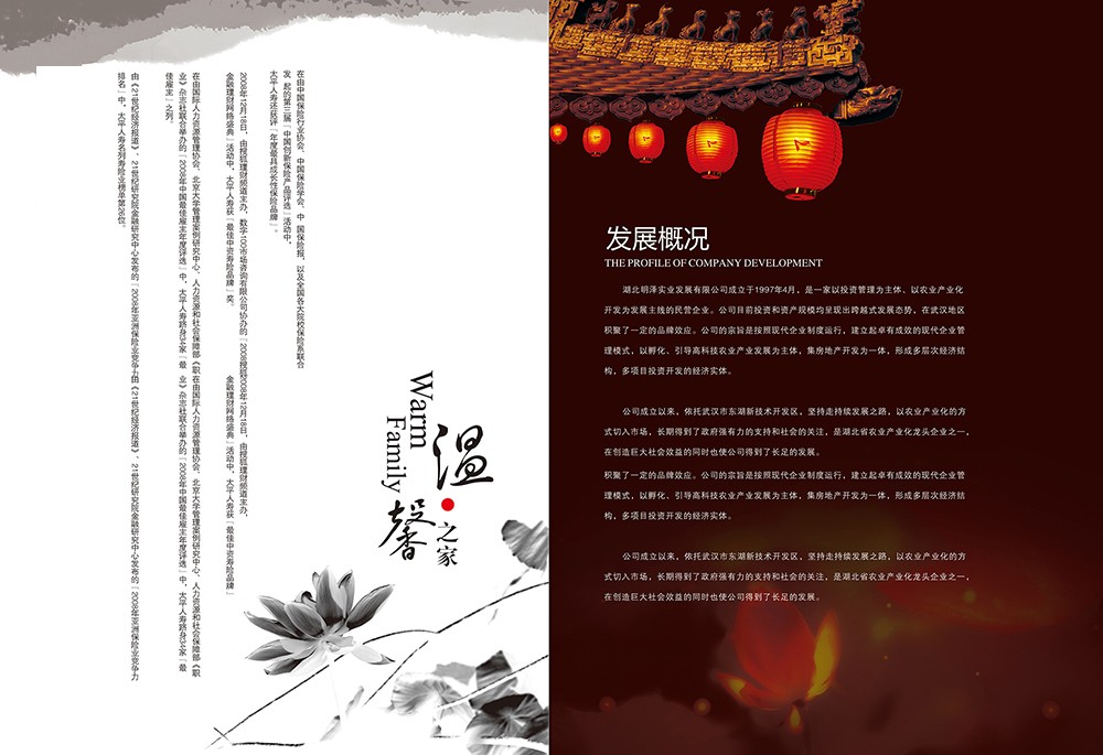 中國韻味畫冊設(shè)計,古風(fēng)畫冊設(shè)計