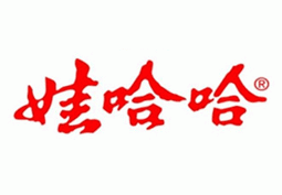 娃哈哈模板vi設(shè)計