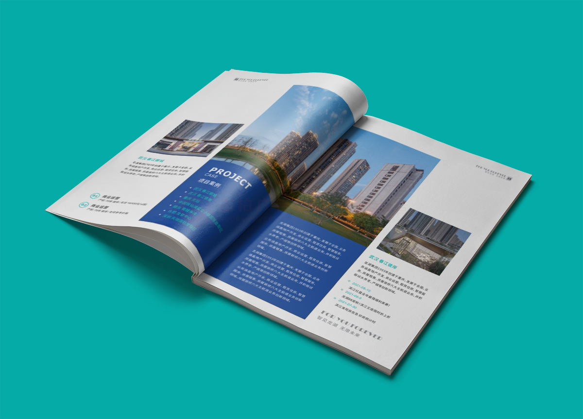 品牌地產(chǎn)樓書設(shè)計(jì),品牌地產(chǎn)樓書設(shè)計(jì)公司 品牌地產(chǎn)樓書設(shè)計(jì),品牌地產(chǎn)樓書設(shè)計(jì)公司