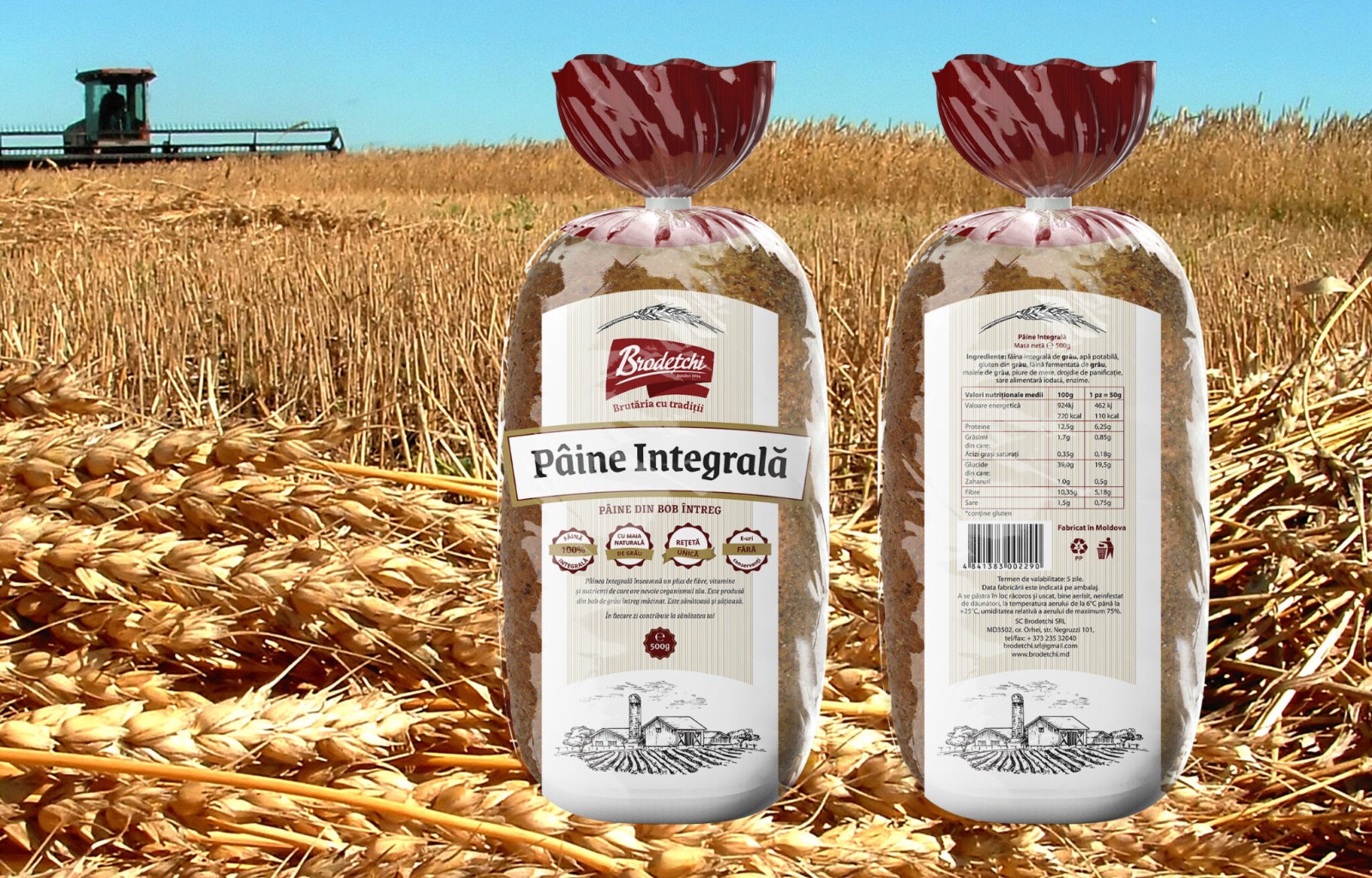 面包食品包裝設(shè)計(jì),烘焙食品包裝設(shè)計(jì)公司 面包食品包裝設(shè)計(jì),烘焙食品包裝設(shè)計(jì)公司