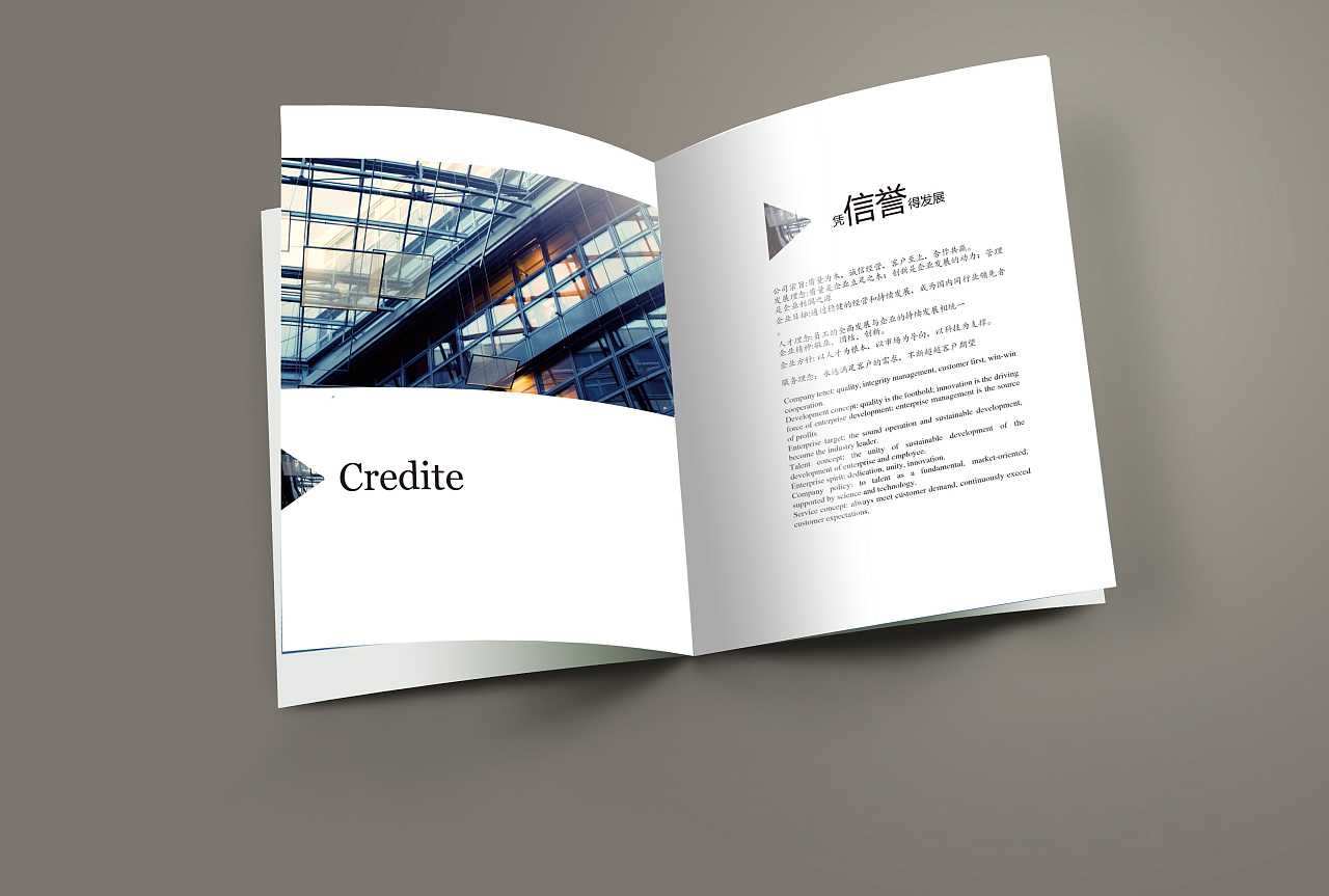 畫冊設計的優(yōu)點和缺點 畫冊設計的優(yōu)點和缺點