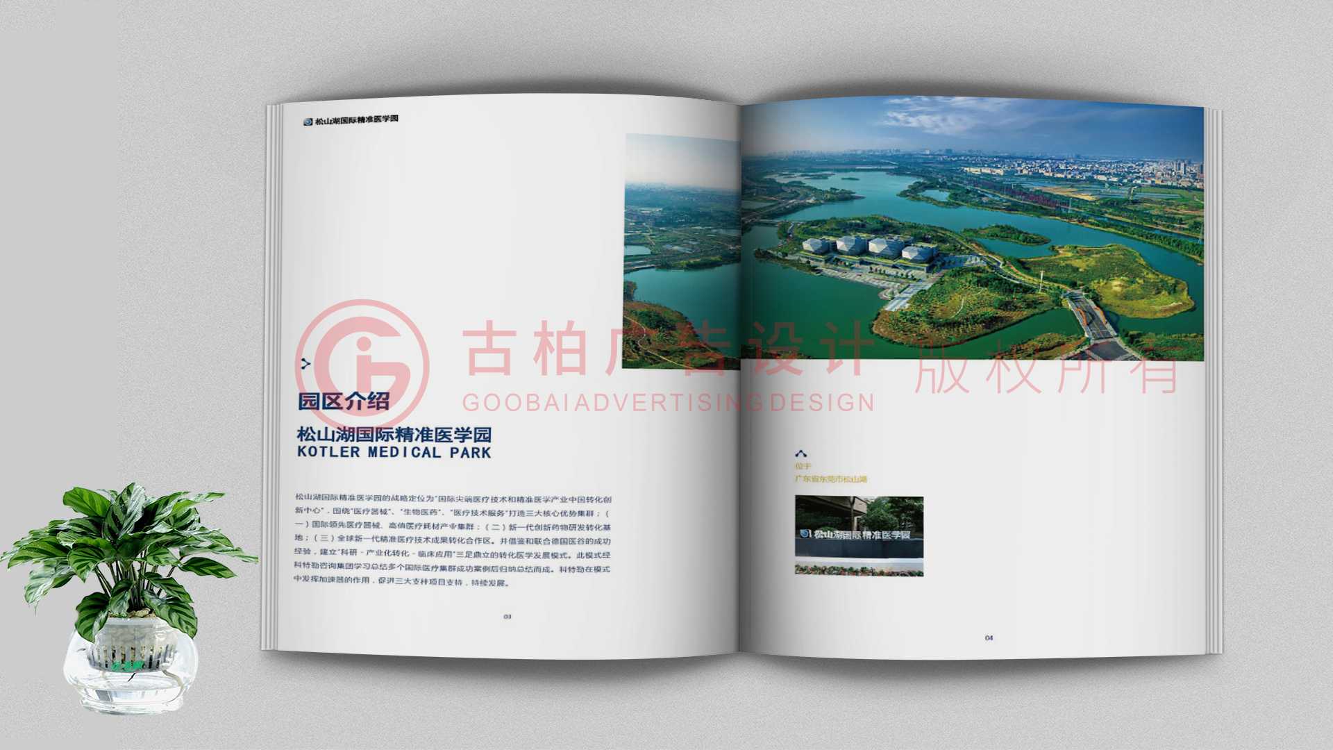 一本聚會紀念冊該如何通過排版來提升整體的美觀性？